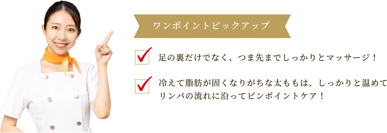 ワンポイントピックアップ