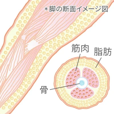 ダイエット開始前の状態