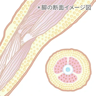 誤った自己流ダイエット