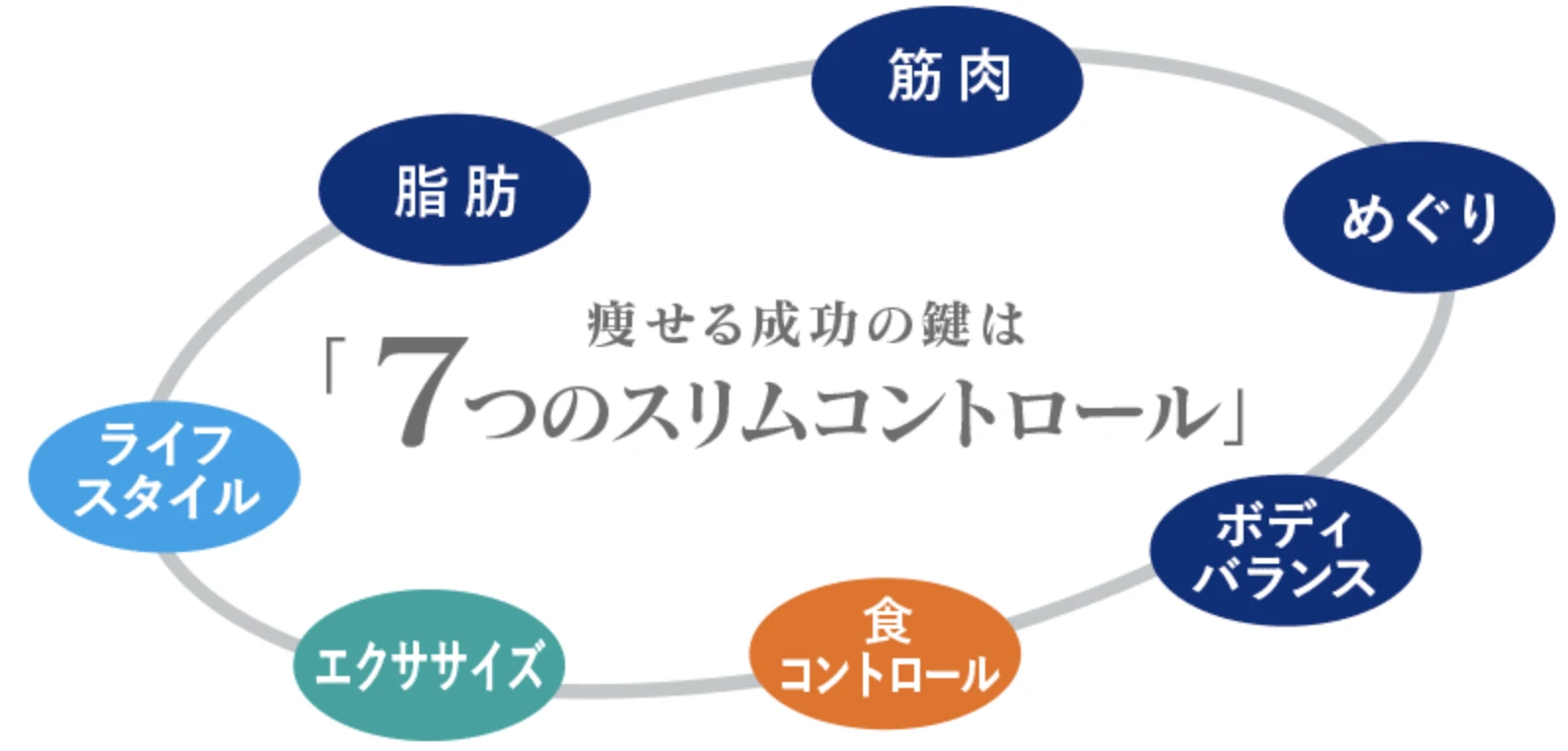 7つのスリムコントロール