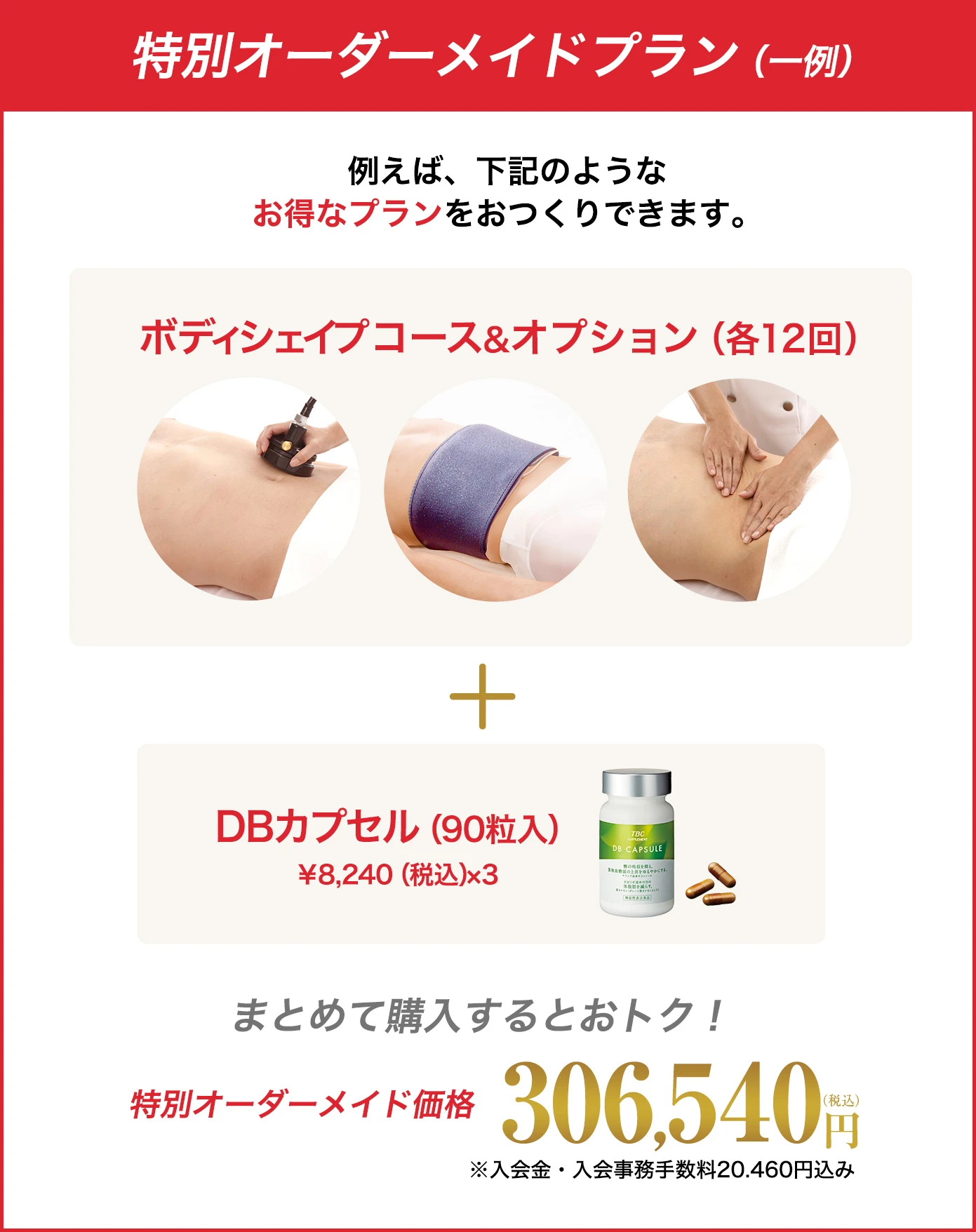 特別オーダーメイドプラン（一例）