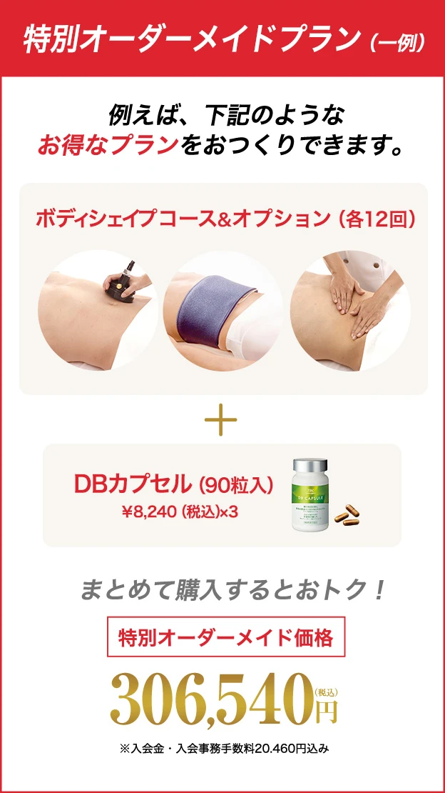 特別オーダーメイドプラン（一例）