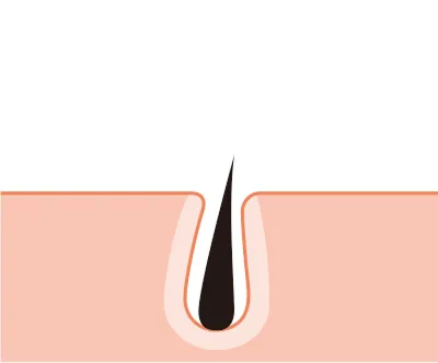 毛を1本1本丁寧に処理