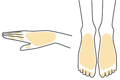 手の甲・指 足の甲・指