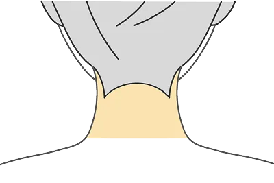 襟足・首うしろ