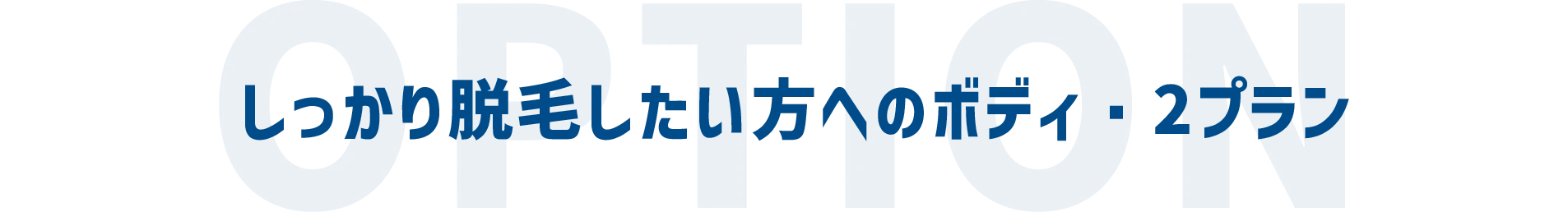 しっかり脱毛したい方へのボディ・2プラン