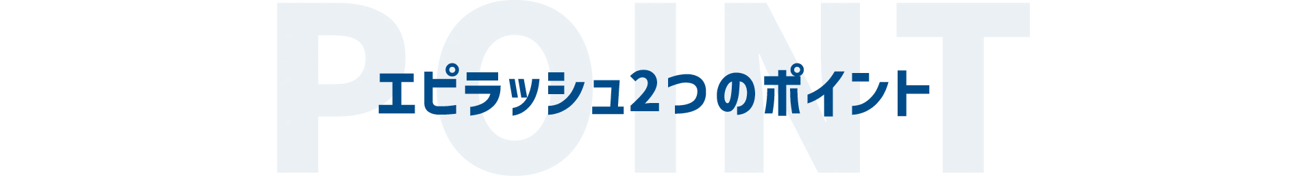 エピラッシュ2つのポイント