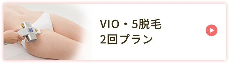 VIO・５脱毛2回プラン