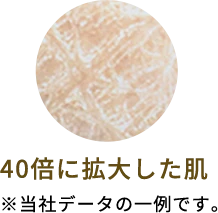 40倍に拡大した肌