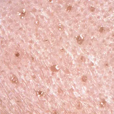 1回目コース翌日