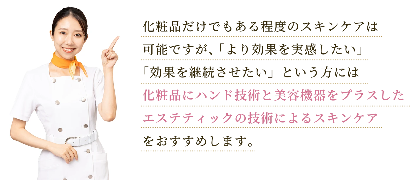 スタッフコメント