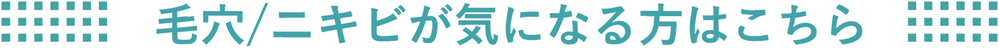毛穴/ニキビが気になる方はこちら