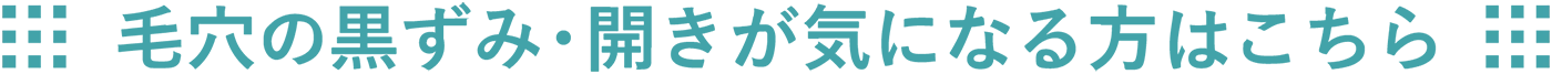 毛穴の黒ずみ・開きが気になる方はこちら