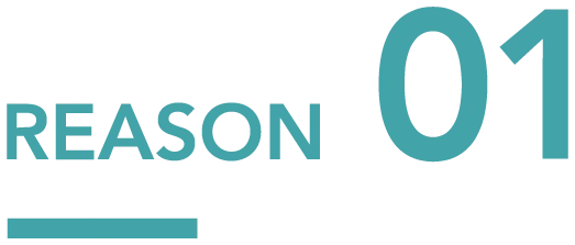 reason01