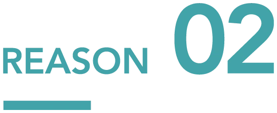 reason02