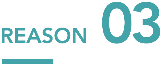 reason03