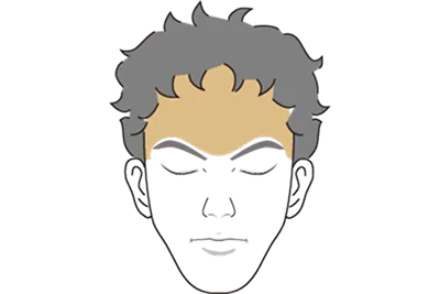 額、眉イメージ