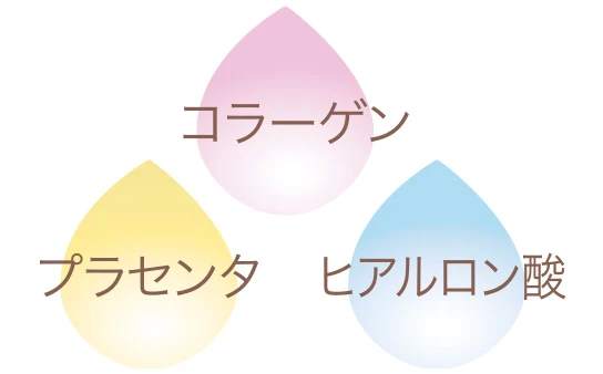 体験コースの流れ