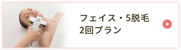 フェイス・５脱毛2回プラン