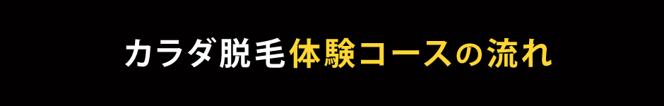 カラダ脱毛体験コースの流れ