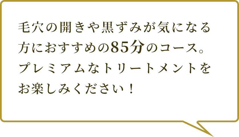 85分のプレミアムなトリートメントをお楽しみください
