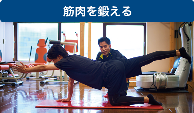 ❶マッスルトレーニング
