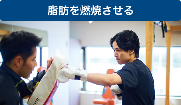 ❷パワーミットトレーニング