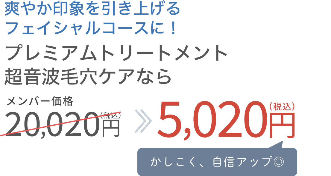 プラセンタ整顔マッサージコースなら26,620円が11,620円に！