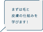 まずは毛と皮膚の仕組みを学びます！