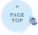 PAGE TOP