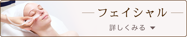体験コース フェイシャル