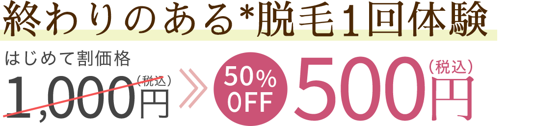 終わりのある脱毛1回体験が500円