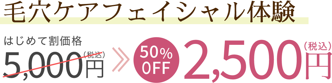 毛穴ケアフェイシャル体験が2500円