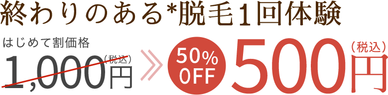 終わりのある脱毛1回体験が500円